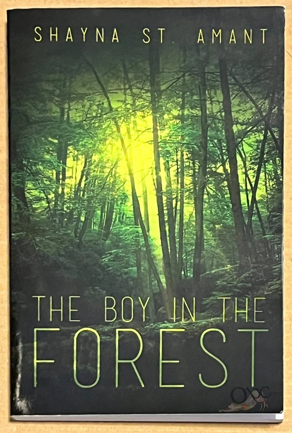 The Boy in the Forest by Shayna St. Amant
