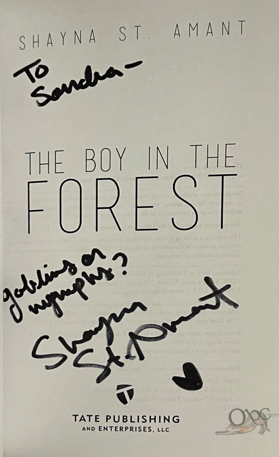 The Boy in the Forest by Shayna St. Amant