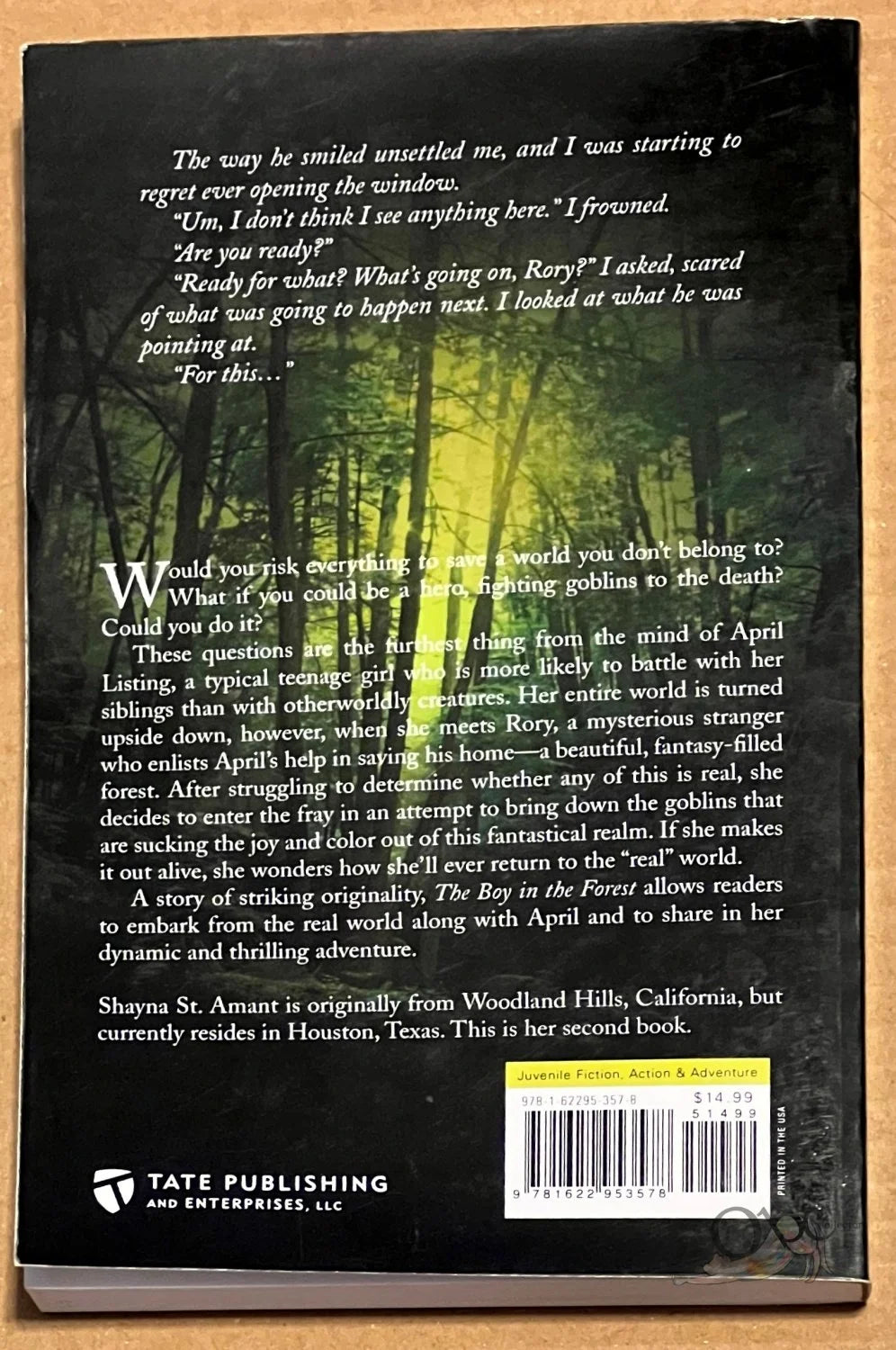 The Boy in the Forest by Shayna St. Amant