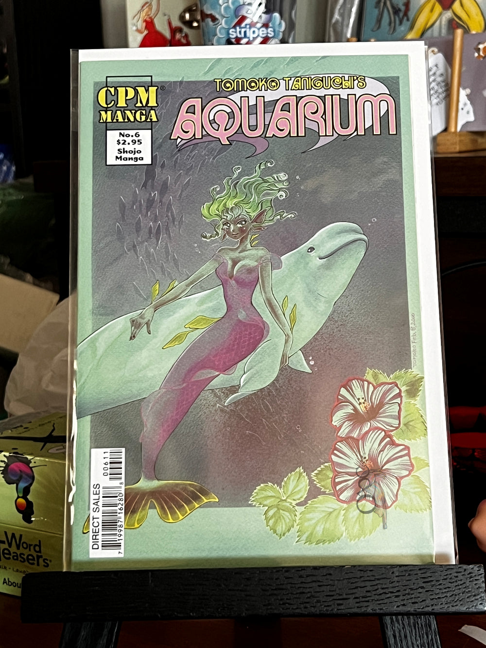 Tomoko Taniguichi's Aquarium #6 (2000)