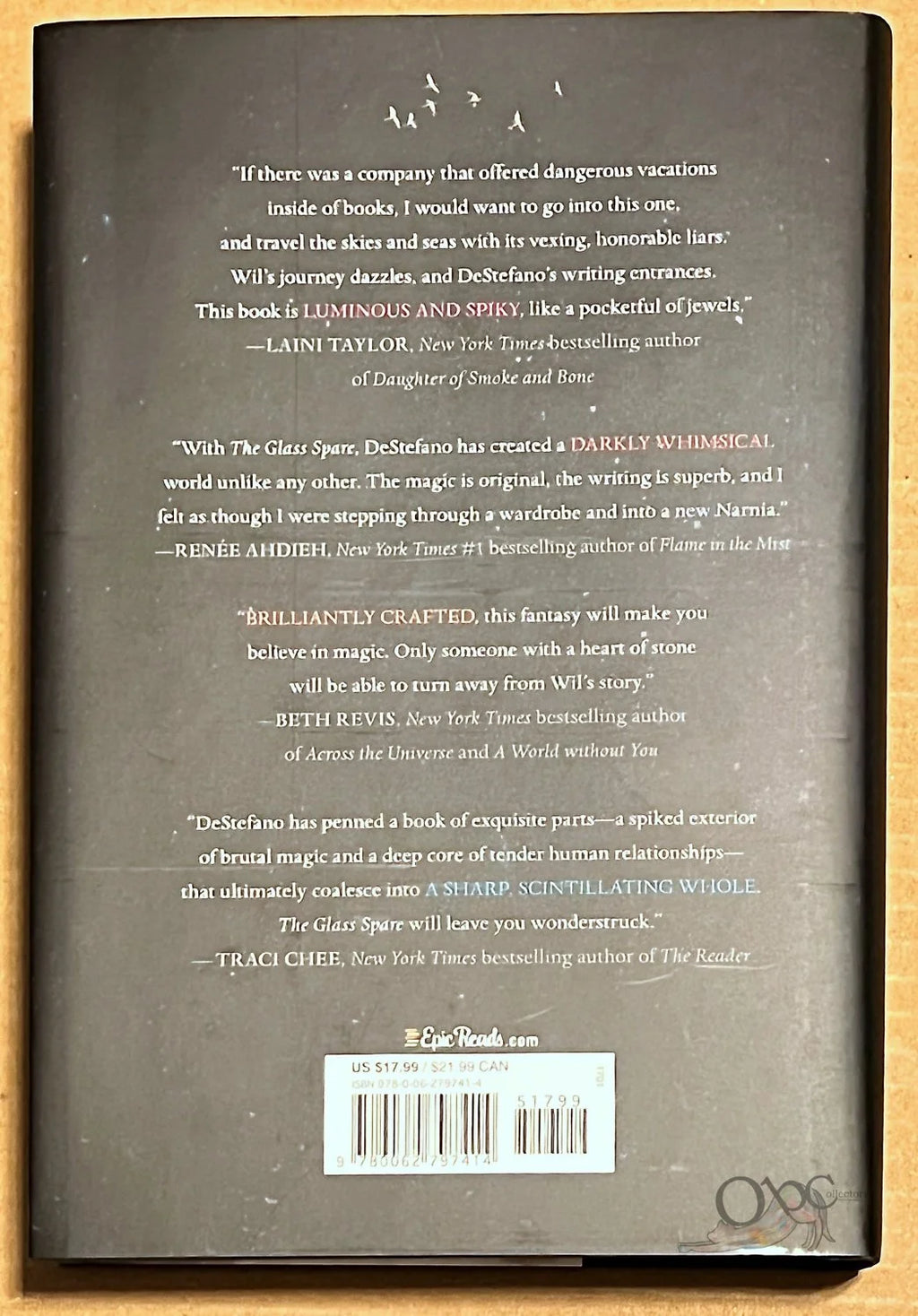 The Glass Spare by Lauren Desteffano OwlCrate Edition