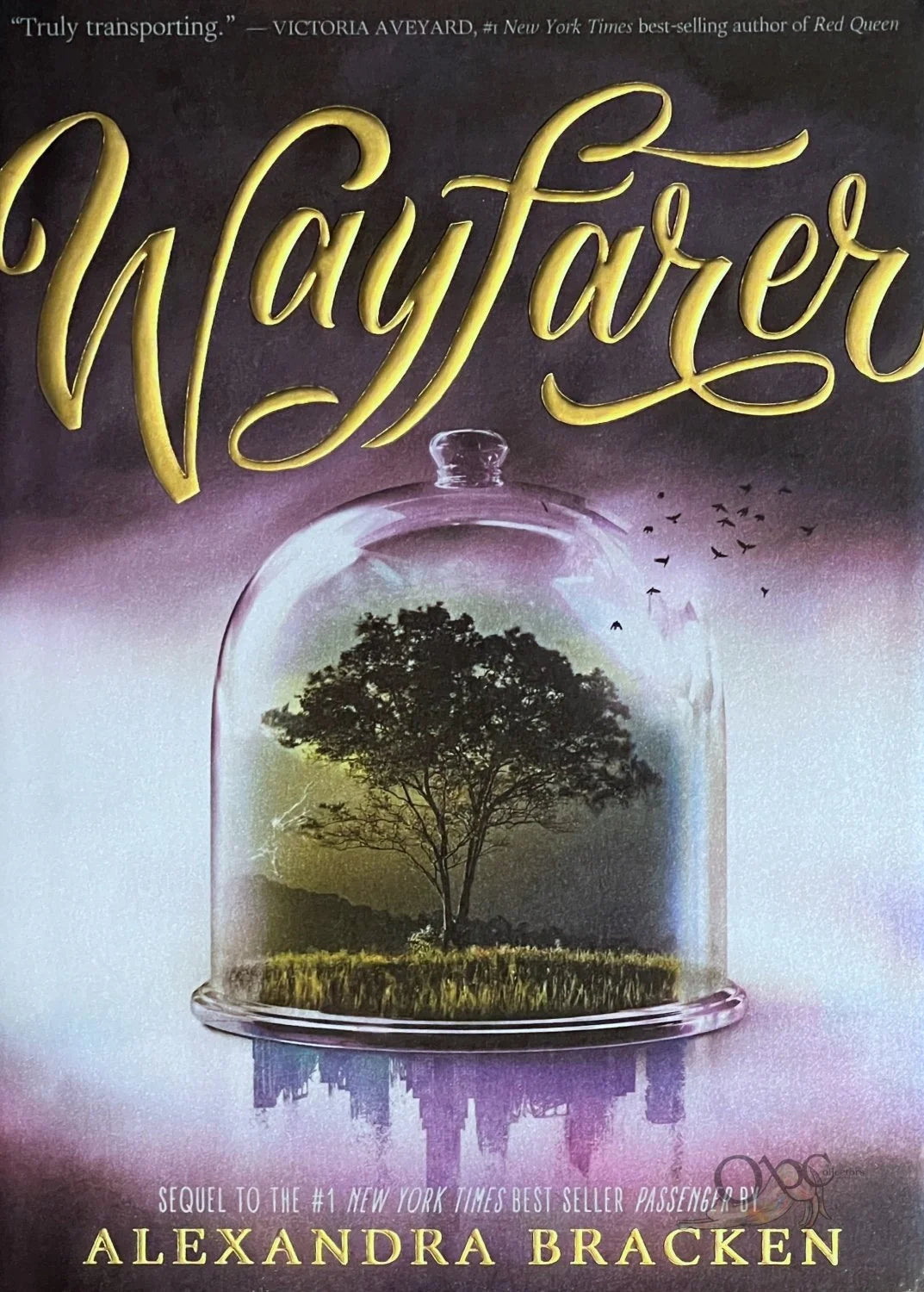 Wayfarer by Alexandra Bracken